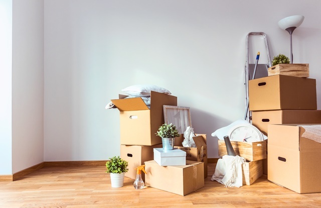 Bagunça de mudança