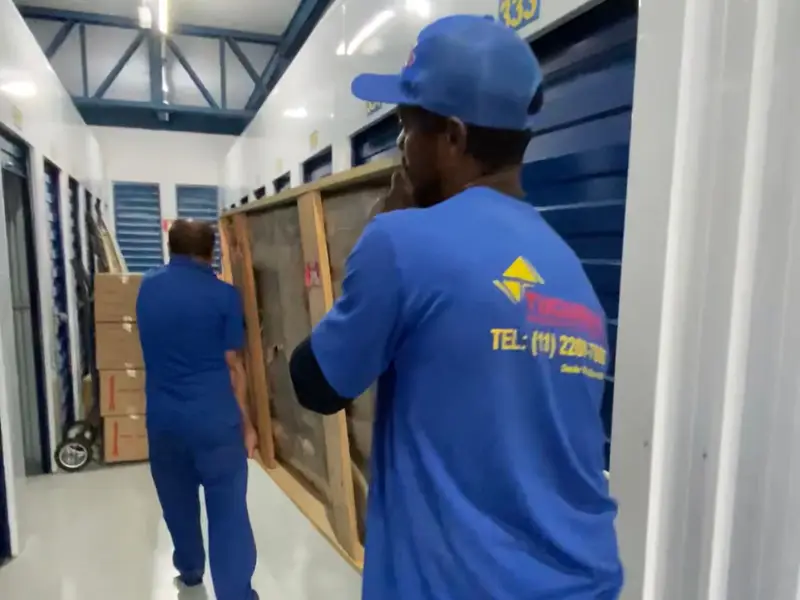 Tucuruvi Mudanças e Transportes